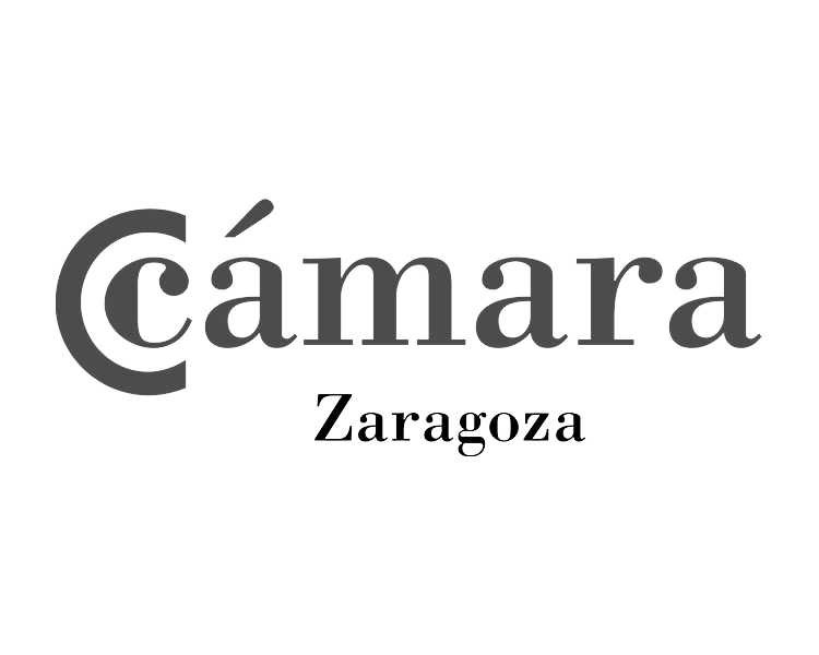 logos-camara-zgz